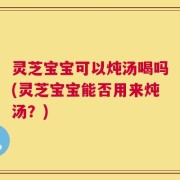 灵芝宝宝可以炖汤喝吗(灵芝宝宝能否用来炖汤？)