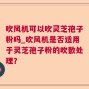 吹风机可以吹灵芝孢子粉吗_吹风机是否适用于灵芝孢子粉的吹散处理？