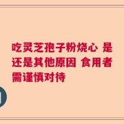 吃灵芝孢子粉烧心 是还是其他原因 食用者需谨慎对待