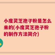 小度灵芝孢子粉是怎么来的(小度灵芝孢子粉的制作方法简介)