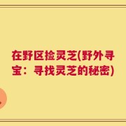 在野区捡灵芝(野外寻宝：寻找灵芝的秘密)