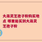 大晟灵芝孢子粉购买地点 哪里能买到大晟灵芝孢子粉