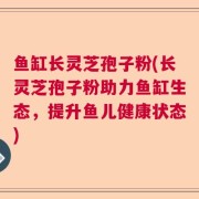 鱼缸长灵芝孢子粉(长灵芝孢子粉助力鱼缸生态，提升鱼儿健康状态)