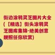 街边涂鸦灵芝图片大全(【精选】街头涂鸦灵芝图库集锦-绝美创意靓照任你欣赏)