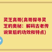 灵芝高哥(高哥探寻灵芝的奥秘：解码古老传说背后的功效和特点)