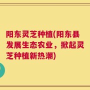 阳东灵芝种植(阳东县发展生态农业，掀起灵芝种植新热潮)