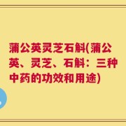 蒲公英灵芝石斛(蒲公英、灵芝、石斛：三种中药的功效和用途)
