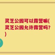 灵芝公园可以露营嘛(灵芝公园允许露营吗？)