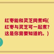 红枣能和灵芝同煮吗(红枣与灵芝可一起煮？这是你需要知道的。)