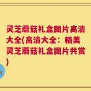 灵芝蘑菇礼盒图片高清大全(高清大全：精美灵芝蘑菇礼盒图片共赏)