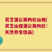 灵芝蒲公英枸杞山楂(灵芝山楂蒲公英枸杞：天然养生佳品)