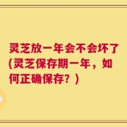 灵芝放一年会不会坏了(灵芝保存期一年，如何正确保存？)