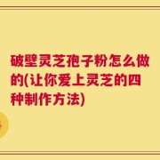 破壁灵芝孢子粉怎么做的(让你爱上灵芝的四种制作方法)