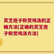 灵芝孢子粉煲鸡汤的正确方法(正确的灵芝孢子粉煲鸡汤方法)