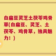 白扁豆灵芝土茯苓鸡骨草(白扁豆、灵芝、土茯苓、鸡骨草，独具魅力！)