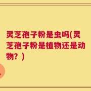 灵芝孢子粉是虫吗(灵芝孢子粉是植物还是动物？)