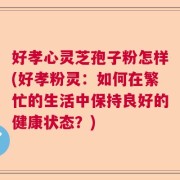 好孝心灵芝孢子粉怎样(好孝粉灵：如何在繁忙的生活中保持良好的健康状态？)