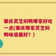 肇庆灵芝焖鸭哪家好吃一点(肇庆哪家灵芝焖鸭味道最好？)