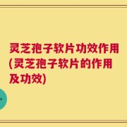 灵芝孢子软片功效作用(灵芝孢子软片的作用及功效)