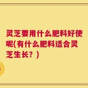 灵芝要用什么肥料好使呢(有什么肥料适合灵芝生长？)