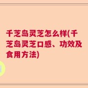 千芝岛灵芝怎么样(千芝岛灵芝口感、功效及食用方法)