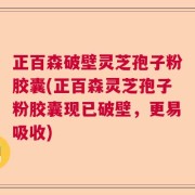 正百森破壁灵芝孢子粉胶囊(正百森灵芝孢子粉胶囊现已破壁，更易吸收)