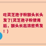 吃灵芝孢子粉额头长头发了(灵芝孢子粉使用后，额头长出浓密秀发！)