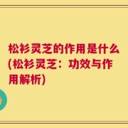松衫灵芝的作用是什么(松衫灵芝：功效与作用解析)