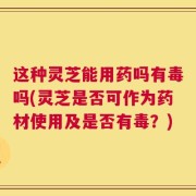 这种灵芝能用药吗有毒吗(灵芝是否可作为药材使用及是否有毒？)