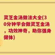 灵芝金汤做法大全(30分钟学会做灵芝金汤，功效神奇，助你强身健体)