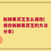 新鲜黑灵芝怎么保存(保存新鲜黑灵芝的方法分享)