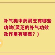 补气类中药灵芝有哪些功效(灵芝的补气功效及作用有哪些？)