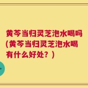 黄芩当归灵芝泡水喝吗(黄芩当归灵芝泡水喝有什么好处？)
