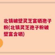 北镇破壁灵芝富硒孢子粉(北镇灵芝孢子粉破壁富含硒)