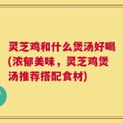 灵芝鸡和什么煲汤好喝(浓郁美味，灵芝鸡煲汤推荐搭配食材)