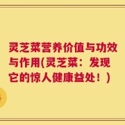 灵芝菜营养价值与功效与作用(灵芝菜：发现它的惊人健康益处！)