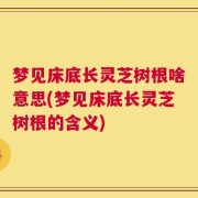 梦见床底长灵芝树根啥意思(梦见床底长灵芝树根的含义)