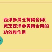 西洋参灵芝黄精合用(灵芝西洋参黄精合用的功效和作用