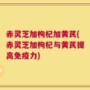 赤灵芝加枸杞加黄芪(赤灵芝加枸杞与黄芪提高免疫力)