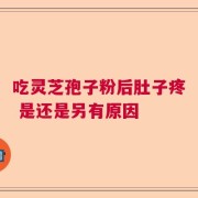吃灵芝孢子粉后肚子疼 是还是另有原因