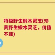 特级野生椴木灵芝(珍贵野生椴木灵芝，价值不菲)