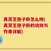 真灵芝孢子粉怎么样(真灵芝孢子粉的功效与作用详解)