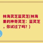 林海灵芝蓝灵芝(林海里的神奇灵芝：蓝灵芝，你试过了吗？)