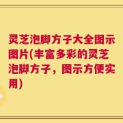 灵芝泡脚方子大全图示图片(丰富多彩的灵芝泡脚方子，图示方便实用)