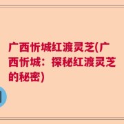 广西忻城红渡灵芝(广西忻城：探秘红渡灵芝的秘密)