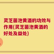 灵芝菌泡黄酒的功效与作用(灵芝菌泡黄酒的好处及益处)