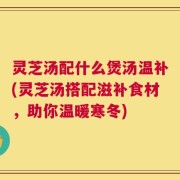 灵芝汤配什么煲汤温补(灵芝汤搭配滋补食材，助你温暖寒冬)