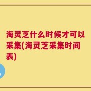 海灵芝什么时候才可以采集(海灵芝采集时间表)