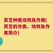 灵芝种类功效及作用(灵芝的分类、功效及作用简介)