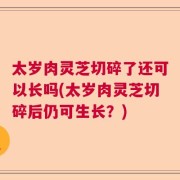 太岁肉灵芝切碎了还可以长吗(太岁肉灵芝切碎后仍可生长？)